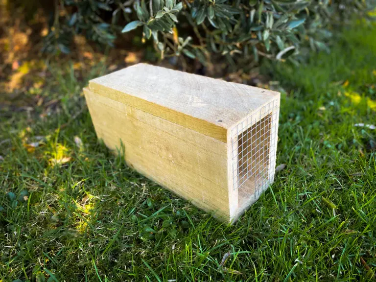 A wooden wildlife trap with a wire mesh opening placed on a grassy lawn, surrounded by green foliage and soft sunlight filtering through nearby bushes.