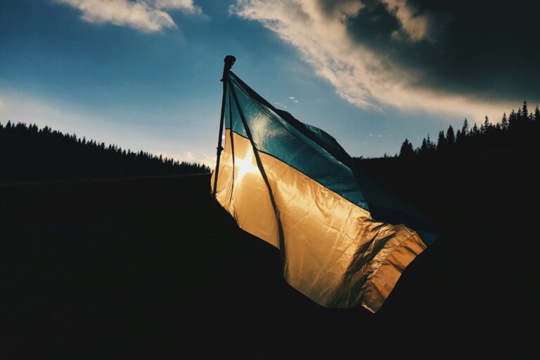 A Ukrainian flag illuminated by the setting sun, waving against a backdrop of dark forest and a dramatic sky with clouds.
