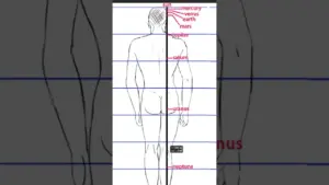 Align Your Body With the Cosmos: A Fun Thought Experiment