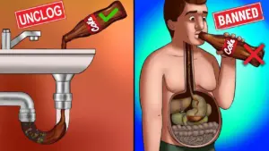 Banned Foods: What Other Countries Say No To