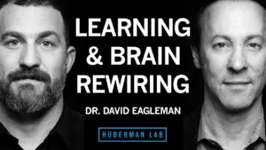 Boost Your Brain: Unlock Neuroplasticity for Lifelong Learning