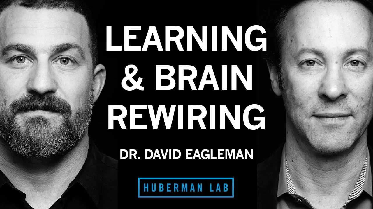 Boost Your Brain: Unlock Neuroplasticity for Lifelong Learning