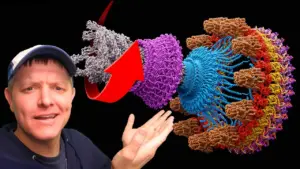 Build a Bacterial Flagellar Motor Model: A Step-by-Step Guide