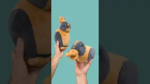 Create a Huggable Optical Illusion Toy