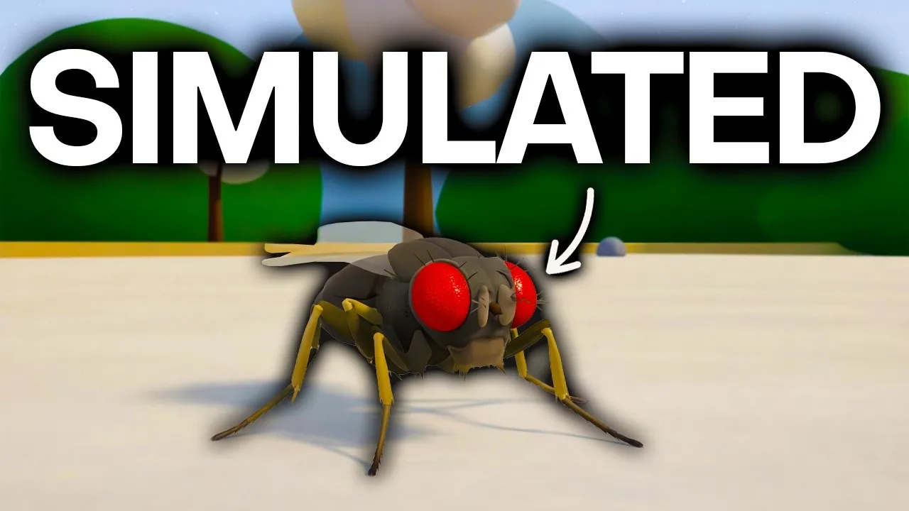 Digital Flies Walk: Brain Emulation Sparks Simulation Debate