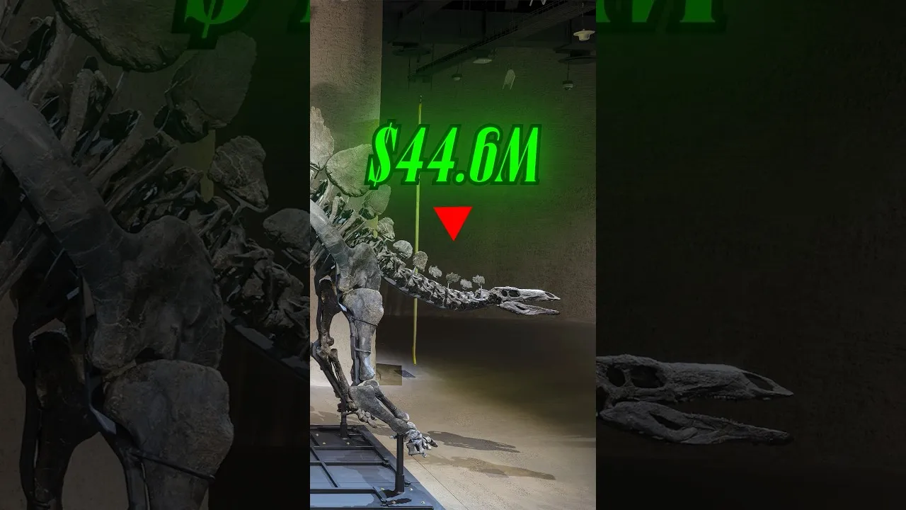 Dinosaur Market Roars: $44.6M Sale Ignites Investor Frenzy