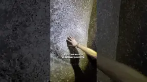 Discover the World’s Largest Spider Web in a Dark Cave