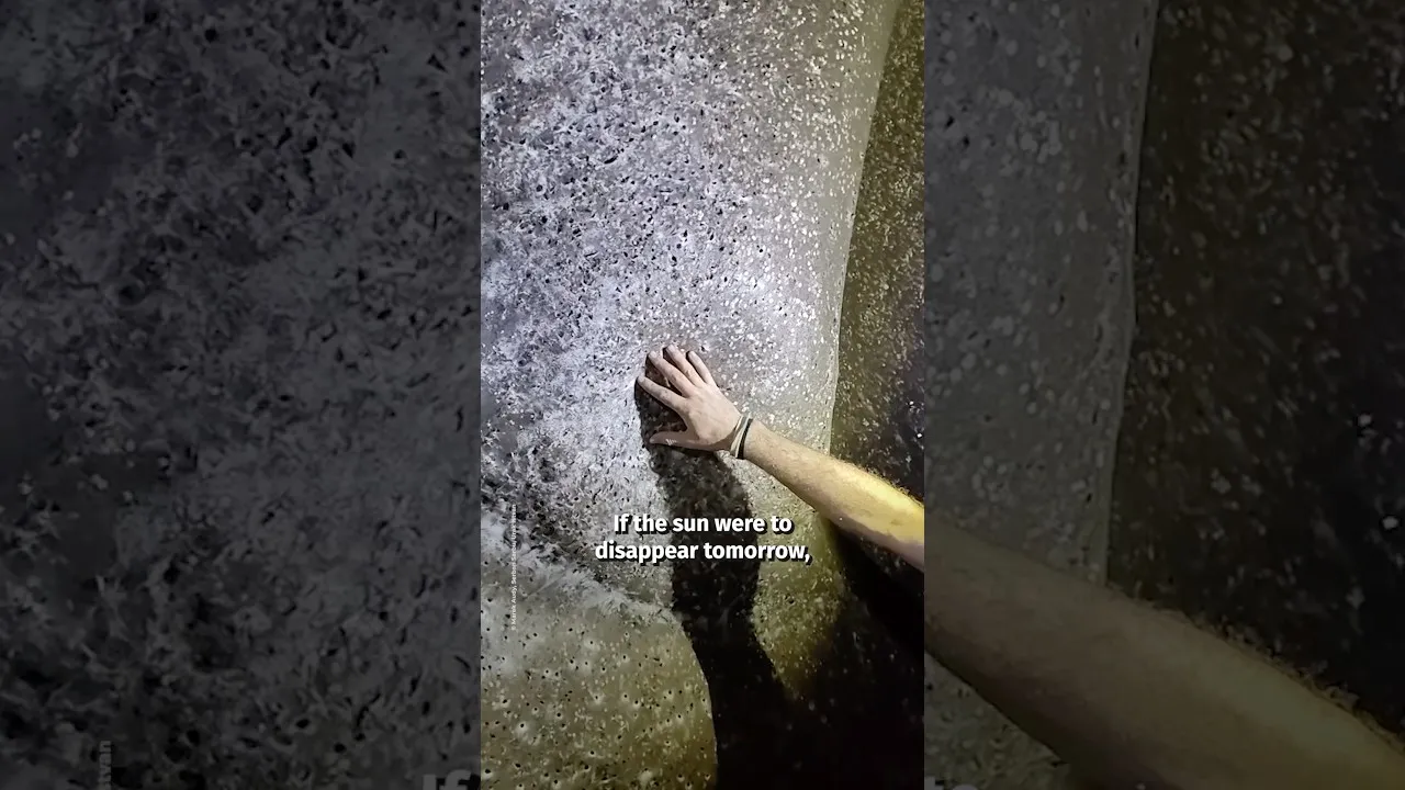 Discover the World’s Largest Spider Web in a Dark Cave