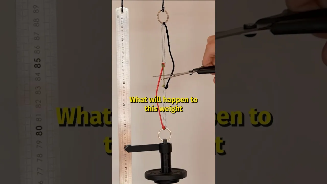 Discover What Happens When You Cut the Green Rope