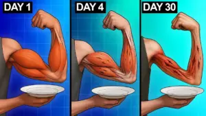 Fasting’s Muscle Impact: From Preservation to Breakdown