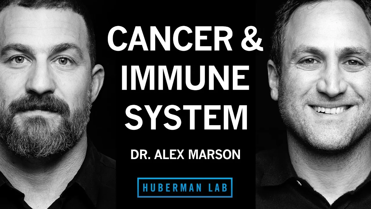 Harness Your Immune System to Fight Cancer