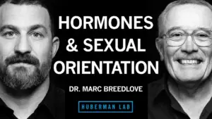 Hormones In Utero May Shape Sexual Orientation