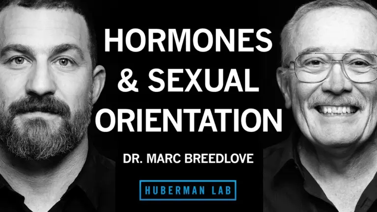 Hormones In Utero May Shape Sexual Orientation