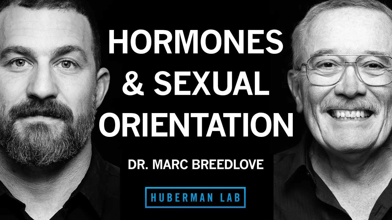 Hormones In Utero May Shape Sexual Orientation