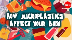 How to Reduce Microplastic Exposure in Your Body