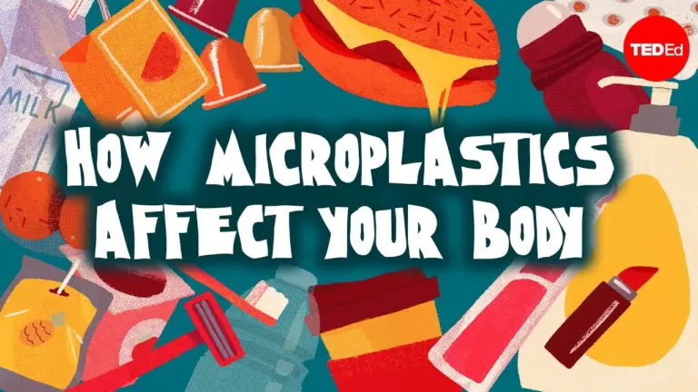 How to Reduce Microplastic Exposure in Your Body