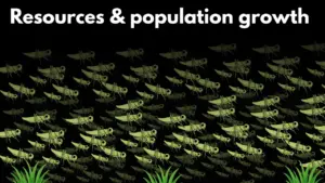 How to Understand Population Growth and Resources