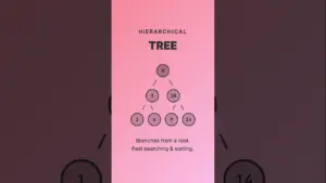 Master Data Structure Basics in Under 60 Seconds