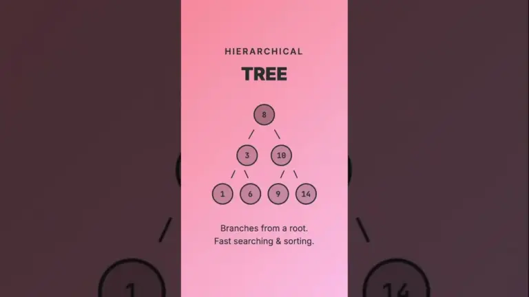 Master Data Structure Basics in Under 60 Seconds