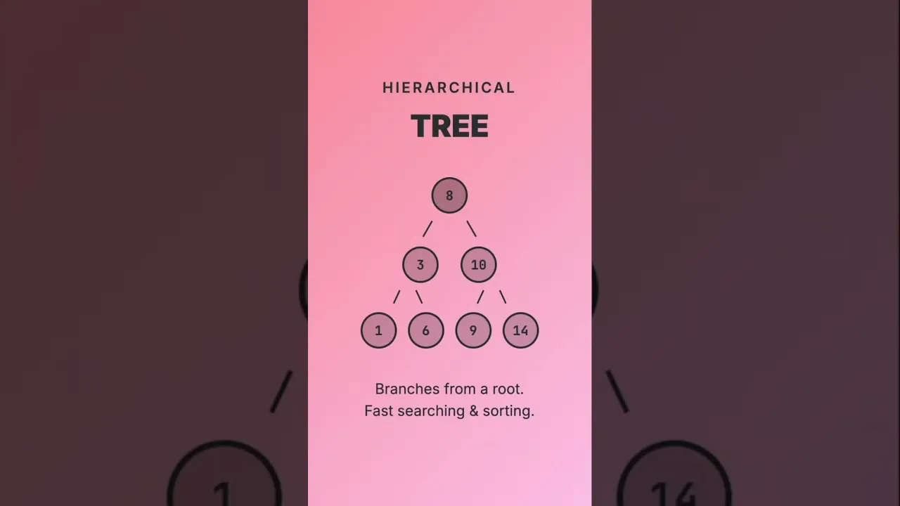 Master Data Structure Basics in Under 60 Seconds