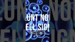 NAC and Oxidation: Finding the Right Balance for Health