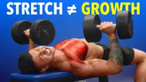Stretch vs. Squeeze: New Study Reveals Muscle Growth Secrets