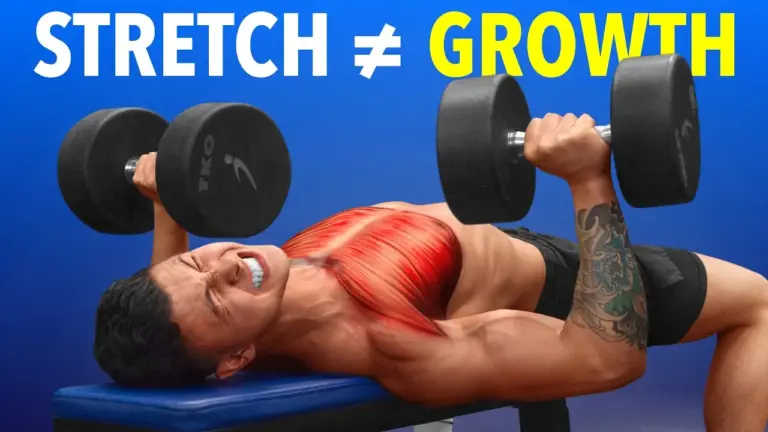 Stretch vs. Squeeze: New Study Reveals Muscle Growth Secrets
