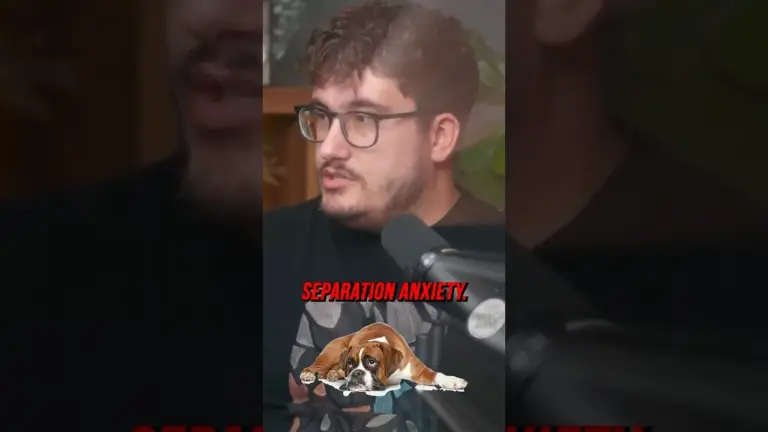 Therapist Declares Client ‘Unemployable’ Due to Dog Anxiety