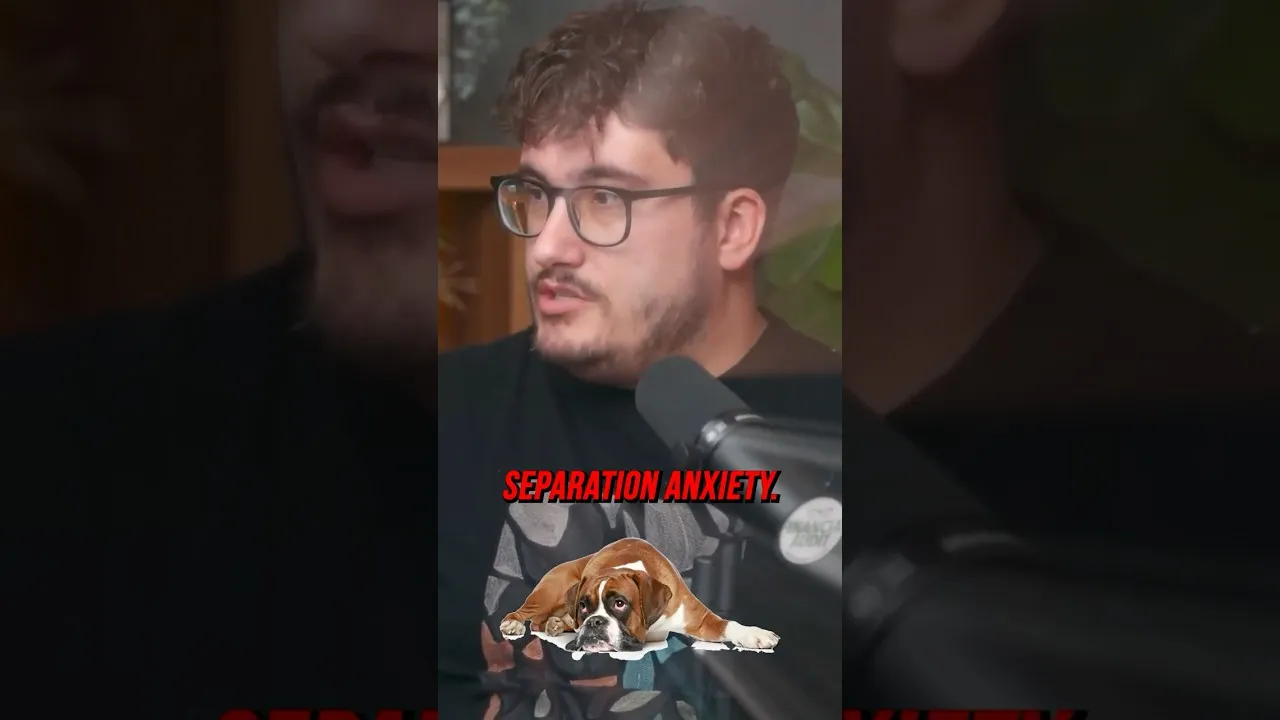 Therapist Declares Client ‘Unemployable’ Due to Dog Anxiety