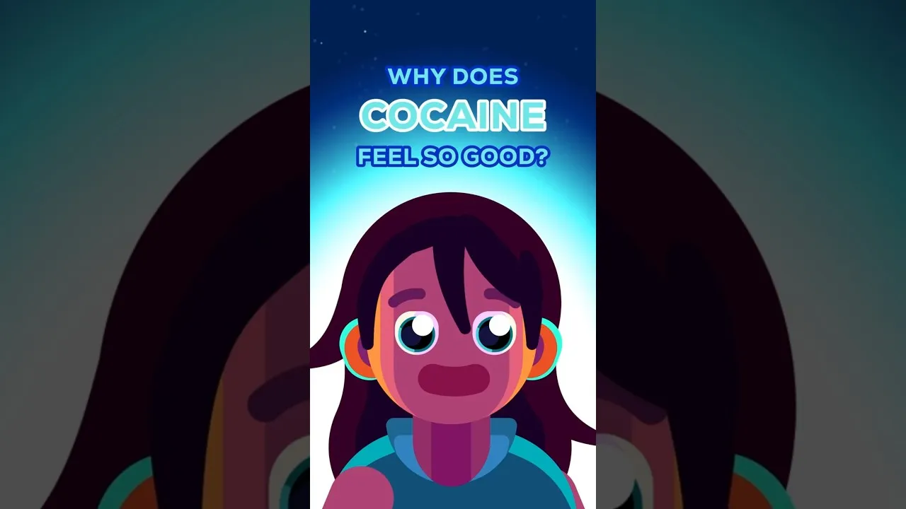 Understand Cocaine’s Effects on Your Brain and Body