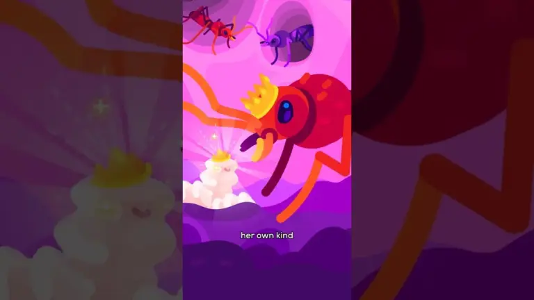 Understand How Ants Clone Other Species