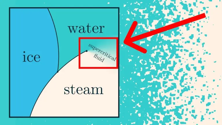 Understand Phase Transitions With a Liquid-Vapor Simulation