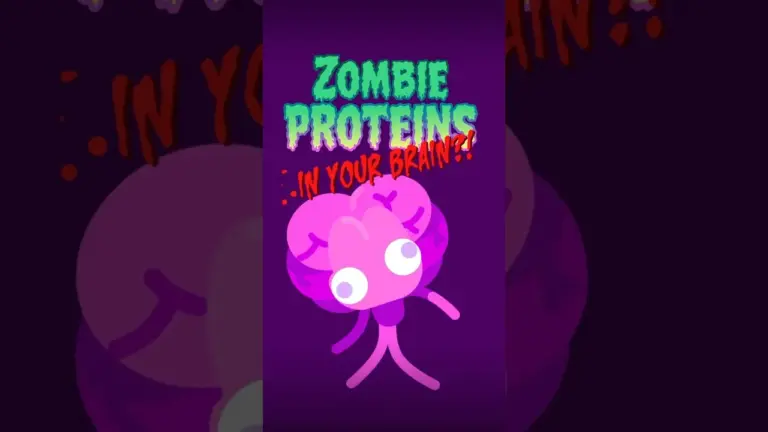 Understand Zombie Proteins: Prions in the Brain