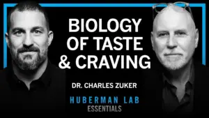 Unlock Your Cravings: The Gut-Brain Link to Sugar