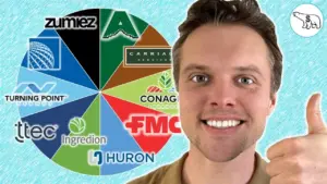 Unlocking 2024’s Stock Picks: A Step-by-Step Value Investing Blueprint