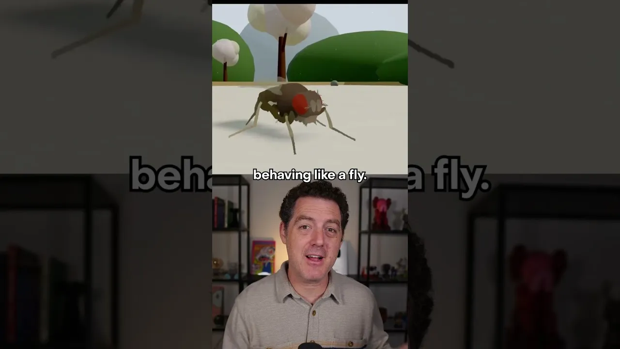 Virtual Fruit Fly Brain Simulates Real Behavior