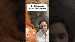 Why We’re Drawn to ‘Punch’: A Psychiatrist’s Take