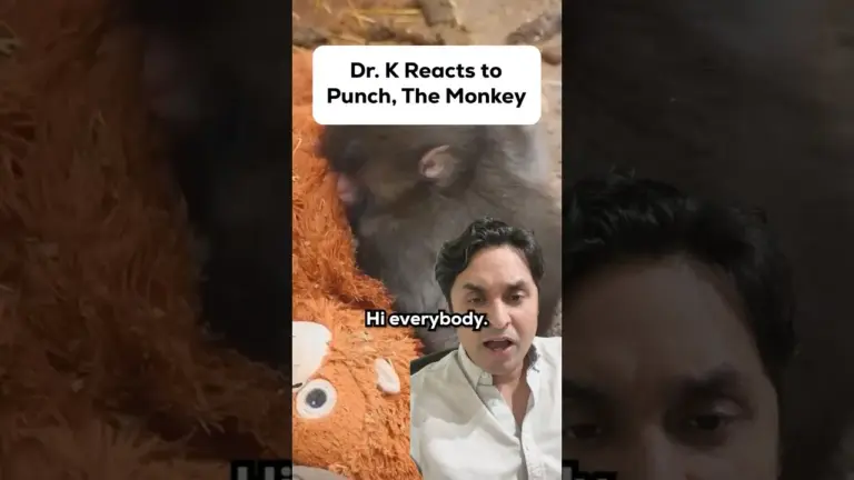 Why We’re Drawn to ‘Punch’: A Psychiatrist’s Take