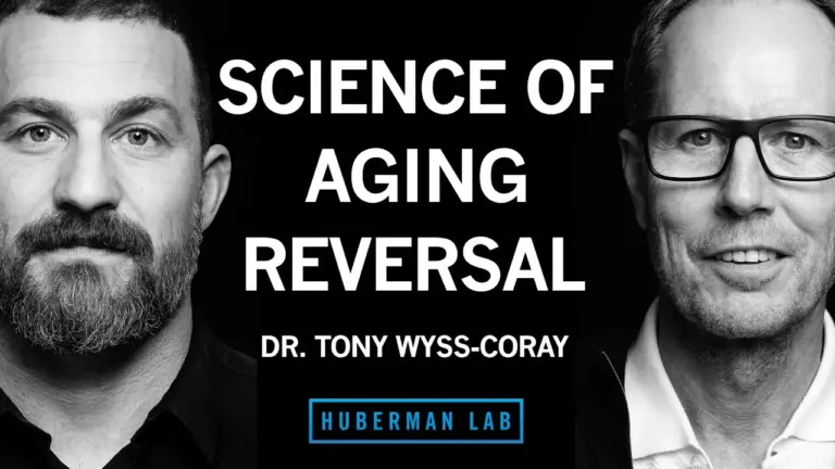 Young Blood Factors May Reverse Aging, Boost Brain Health