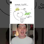 Anthropic’s Coding Model Hits Compute Wall