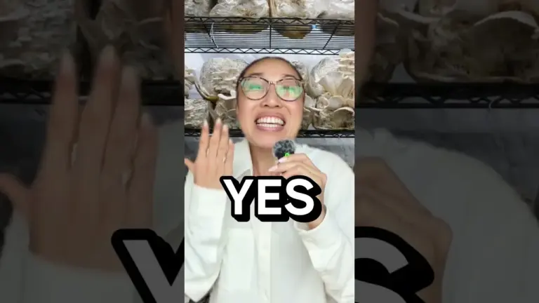 New ‘Living’ Fabric Could Revolutionize Your Activewear