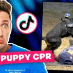 TikTok Health Trends: What’s Real, What’s Risky?