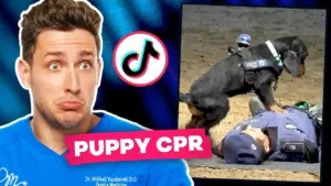 TikTok Health Trends: What’s Real, What’s Risky?