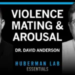 Unlocking Aggression and Mating: Brain Secrets Revealed