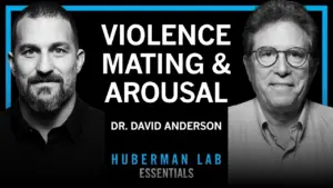 Unlocking Aggression and Mating: Brain Secrets Revealed