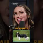 Why Some Dog Breeds Face Health Risks